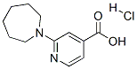 2-Azepan-1-yl-isonicotinic acid hydrochloride Structure,885277-05-4Structure