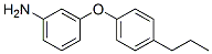 3-(4-Propyl-phenoxy)-phenylamine Structure,887579-65-9Structure