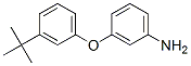 3-(3-Tert-butyl-phenoxy)-phenylamine Structure,887579-79-5Structure