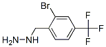 2-Bromo-4-trifluoromethyl-benzyl-hydrazine Structure,887596-24-9Structure