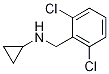 Cyclopropyl-(2,6-dichloro-benzyl)-amine Structure,892569-22-1Structure