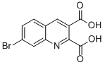 7-Bromoquinoline-2,3-dicarboxylic acid Structure,892874-38-3Structure