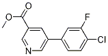 Methyl 5-(4-chloro-3-fluorophenyl)pyridine-3-carboxylate Structure,893734-89-9Structure