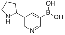 B-[5-(2-pyrrolidinyl)-3-pyridinyl]Boronic acid Structure,899437-13-9Structure