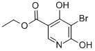 Ethyl 5-bromo-4,6-dihydroxynicotinate Structure,89978-58-5Structure