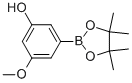 3-Methoxy-5-(4,4,5,5-tetramethyl-1,3,2-dioxaborolan-2-yl)phenol Structure,906008-22-8Structure