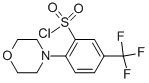 2-Morpholino-5-(trifluoromethyl)benzenesulfonyl chloride Structure,906352-76-9Structure