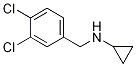 Cyclopropyl-(3,4-dichloro-benzyl)-amine Structure,90919-75-8Structure