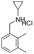 N-(2,3-dimethylbenzyl)cyclopropanamine hydrochloride Structure,909702-86-9Structure