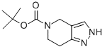 Tert-butyl 6,7-dihydro-2h-pyrazolo[4,3-c]pyridine-5(4h)-carboxylate Structure,924869-27-2Structure