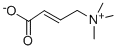 Levocarnitine impurity a Structure,927-89-9Structure