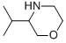 3-Isopropylmorpholine Structure,927802-40-2Structure