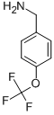 4-(Trifluoromethoxy)benzylamine Structure,93919-56-3Structure