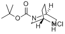 (1S,4s)-tert-butyl2,5-diazabicyclo[2.2.2]octane-2-carboxylatehydrochloride Structure,944086-67-3Structure