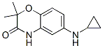 2H-1,4-benzoxazin-3(4h)-one, 6-(cyclopropylamino)-2,2-dimethyl- Structure,944143-12-8Structure