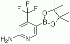 2-Amino-4-(trifluoromethyl) pyridine-5-boronic acid pinacol ester Structure,944401-57-4Structure