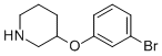 3-(3-Bromophenoxy)piperidine Structure,946681-09-0Structure