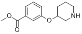 Methyl 3-(3-piperidinyloxy)benzoate Structure,946681-12-5Structure