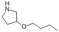 3-Butoxypyrrolidine Structure,946715-13-5Structure