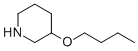 3-Butoxypiperidine Structure,946725-65-1Structure