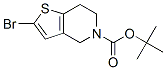 Tert-butyl 2-Bromo-6,7-dihydrothieno[3,2-c]pyridine-5(4H)-carboxylate Structure,949922-62-7Structure