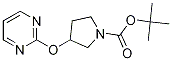 Tert-butyl 3-(pyrimidin-2-yloxy)pyrrolidine-1-carboxylate Structure,950648-94-9Structure