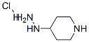 4-Hydrazinopiperidine hydrochloride Structure,952201-01-3Structure