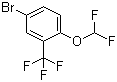 4-Bromo-1-(difluoromethoxy)-2-(trifluoromethyl)benzene Structure,954236-13-6Structure