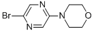 4-(5-Bromo-2-pyrazinyl)morpholine Structure,955050-08-5Structure