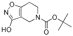 Tert-butyl 3-hydroxy-4,5,6,7-tetrahydroisoxazolo[4,5-c]pyridine-5-carboxylate Structure,95579-09-2Structure