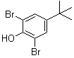 2,6-Dibromo-4-tert-butyl-phenol Structure,98-22-6Structure