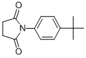 N-(4-tert-Butylphenyl)succinimide Structure,98604-38-7Structure