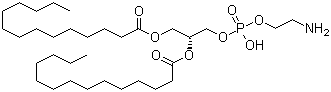 1,2-Dimyristoyl-sn-glycero-3-phosphoethanolamine Structure,998-07-2Structure