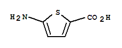 2-Thiophenecarboxylicacid,5-amino- Structure,204068-72-4Structure