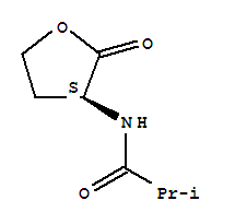 Propanamide, 2-methyl-n-[(3s)-tetrahydro-2-oxo-3-furanyl]- Structure,221292-05-3Structure