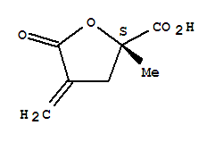 2-Furancarboxylicacid,tetrahydro-2-methyl -4-methylene-5-oxo-,(2s)-(9ci) Structure,314264-83-0Structure