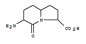 3-Indolizinecarboxylicacid,6-aminooctahydro-5-oxo-(9ci) Structure,349101-80-0Structure