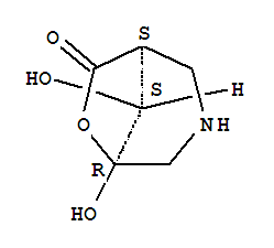 6-Oxa-3-azabicyclo[3.2.1]octan-7-one,5,8-dihydroxy-,(1s,5r,8s)-(9ci) Structure,355117-74-7Structure