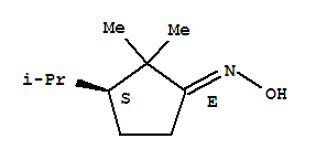 (1E,3s)-n-hydroxy-3-isopropyl-2,2-dimethylcyclopentanimine Structure,365978-50-3Structure