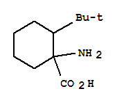 1-Amino-2-tert-butylcyclohexanecarboxylic acid Structure,412924-89-1Structure