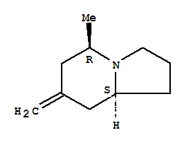 Indolizine, octahydro-5-methyl-7-methylene-, (5r,8as)-(9ci) Structure,727985-43-5Structure