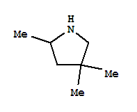 2,4,4-Trimethyl-pyrrolidine Structure,73604-52-1Structure