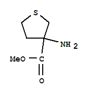 3-Aminotetrahydro-3-thiophenecarboxylic acid methyl ester Structure,742051-73-6Structure