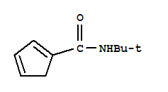 1,3-Cyclopentadiene-1-carboxamide, n-(1,1-dimethylethyl)- Structure,757921-08-7Structure