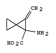 Spiro[2.2]pentanecarboxylic acid, 1-amino-2-methylene-(9ci) Structure,760929-97-3Structure