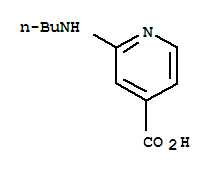 2-(Butylamino)isonicotinic acid Structure,77314-78-4Structure