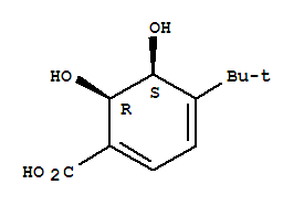 1,3-Cyclohexadiene-1-carboxylic acid, 4-(1,1-dimethylethyl)-5,6-dihydroxy-, (5s,6r)-(9ci) Structure,775267-87-3Structure