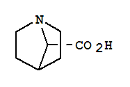 1-Azabicyclo[2.2.1]heptane-7-carboxylicacid(9ci) Structure,792905-68-1Structure