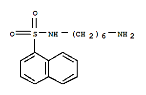 N-(6-aminohexyl)naphthalene-1-sulfonamide Structure,79458-81-4Structure