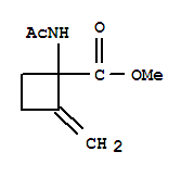 Cyclobutanecarboxylic acid,1-(acetylamino)-2-methylene-,methyl ester Structure,853305-15-4Structure